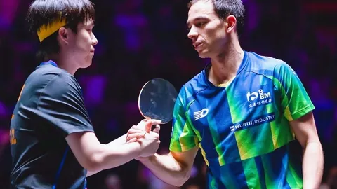 澳网赛事评论：张之臻精彩亮相，拼搏进取